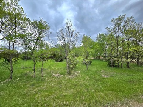 Wooded Lot Near Clearwater