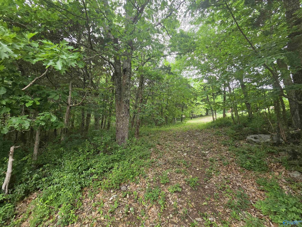 Picture 5