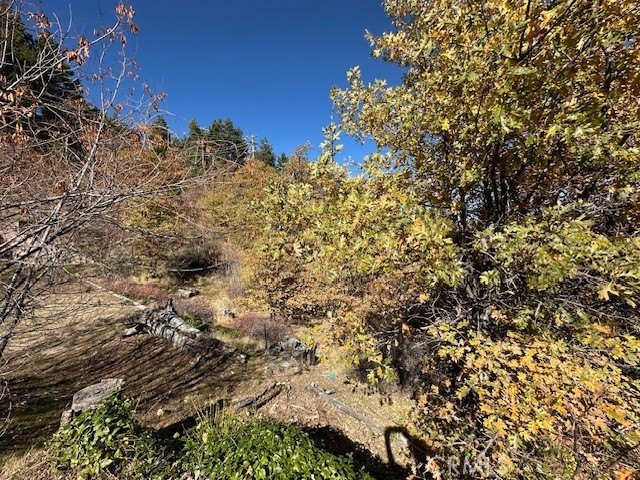 Picture 10