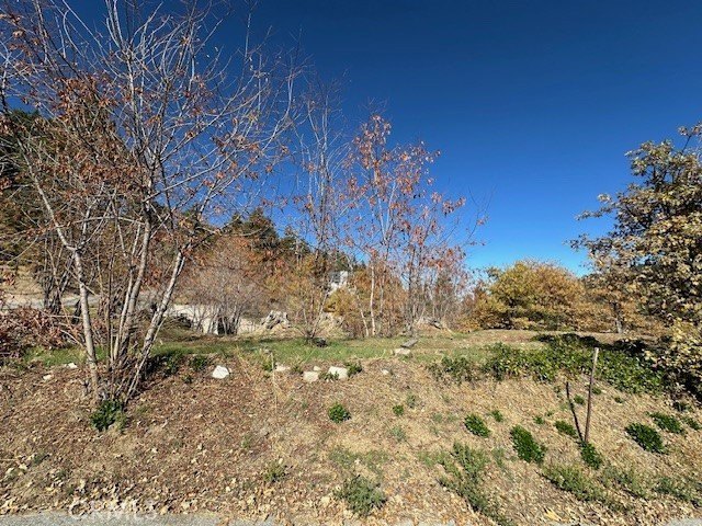 Picture 4