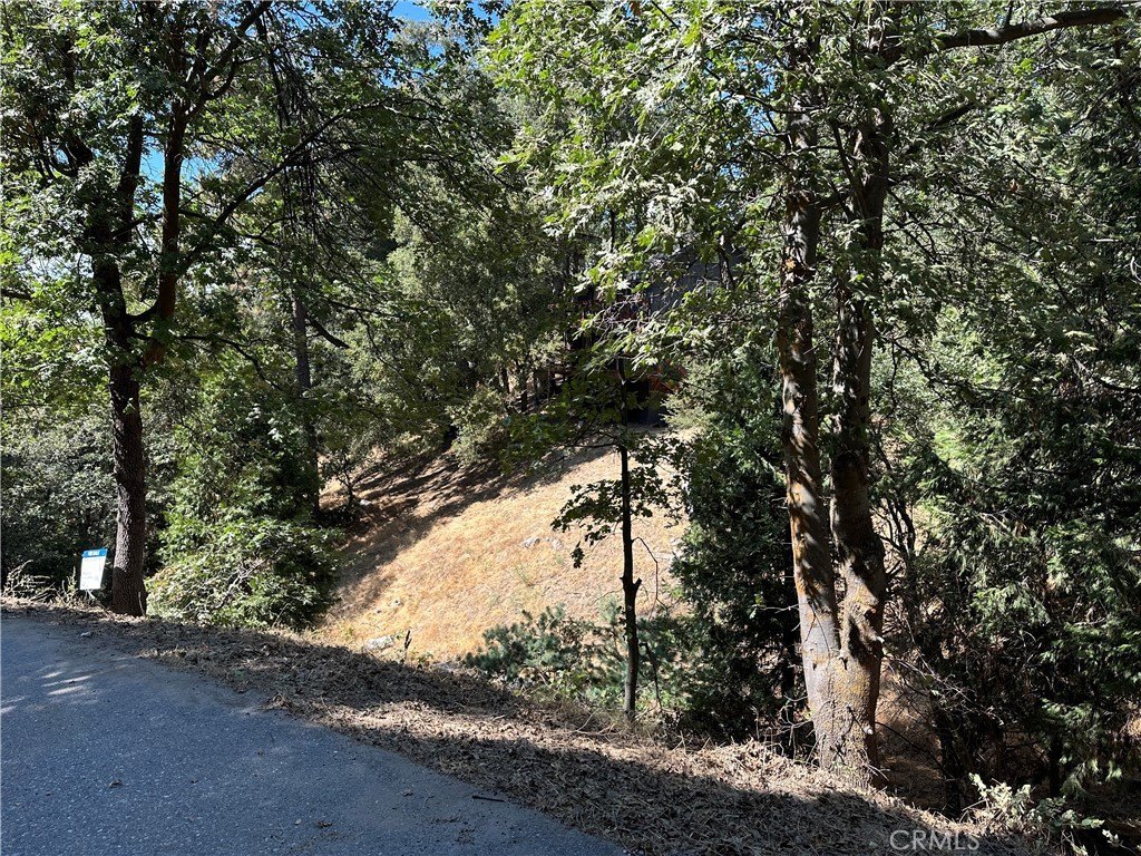 Picture 29