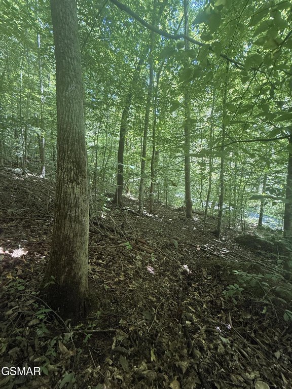 Picture 18