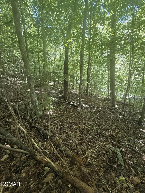 Picture 16