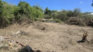 Picture 6