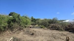 Picture 7