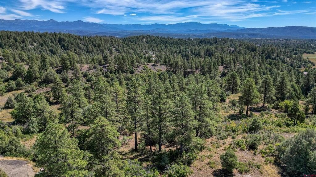 Land in Pagosa Springs, CO