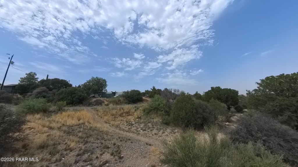 Picture 23