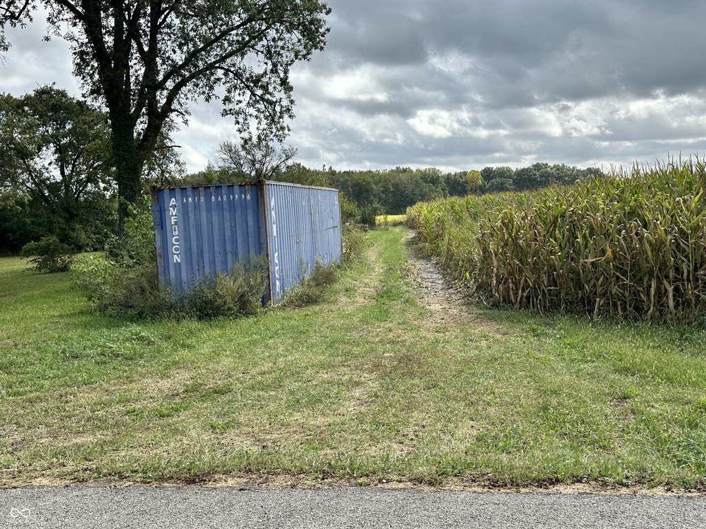 Picture 23