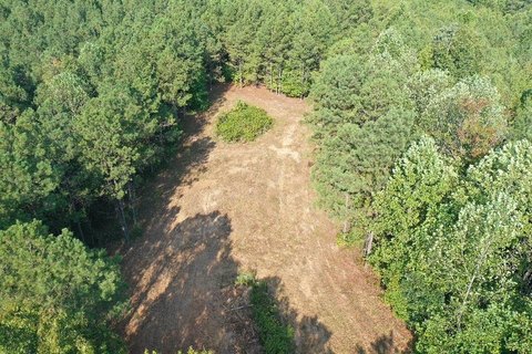 Hunting Tract with Food Plot