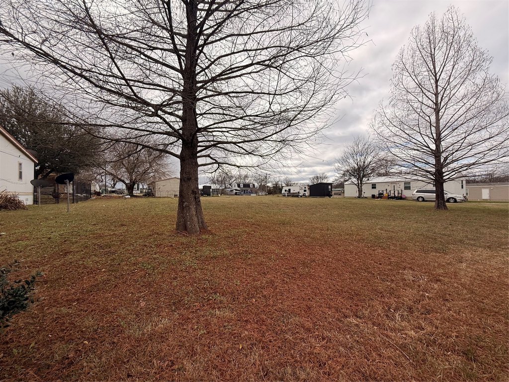 Picture 2