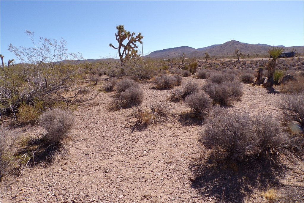 Picture 23