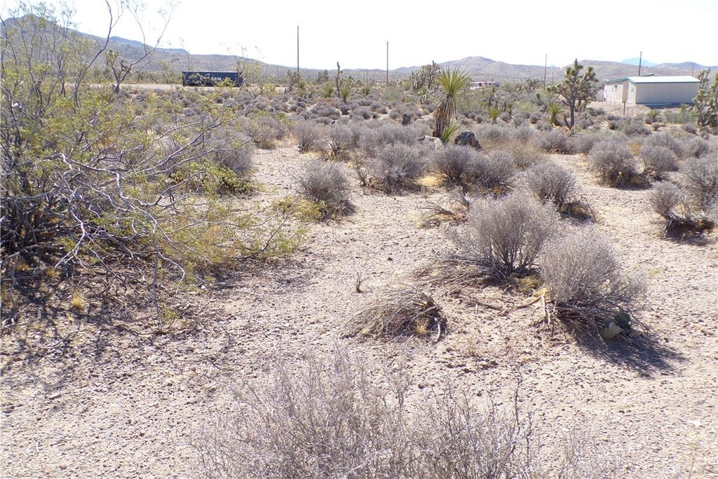 Picture 12