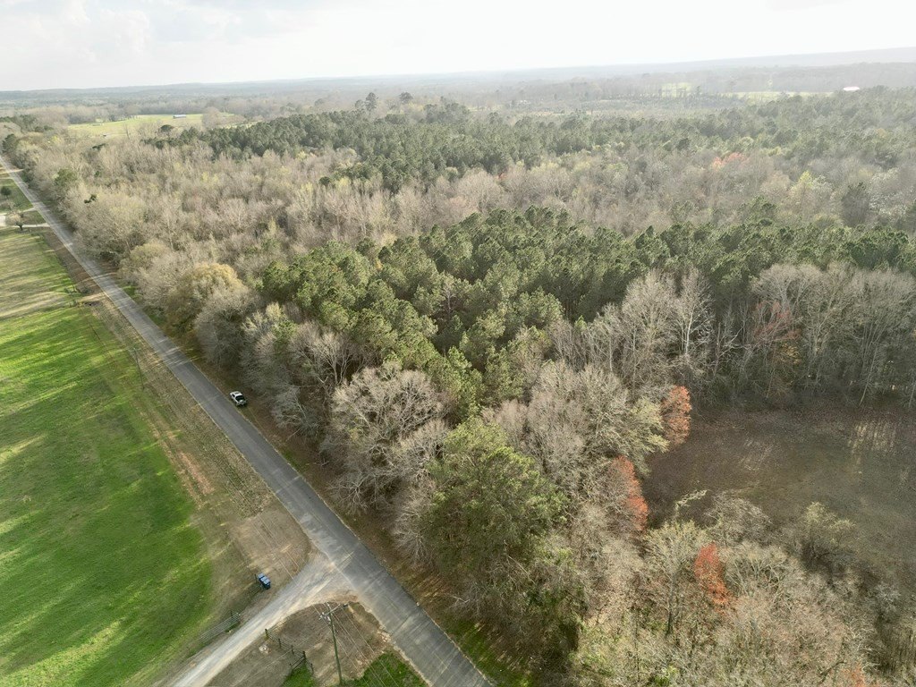 Picture 3