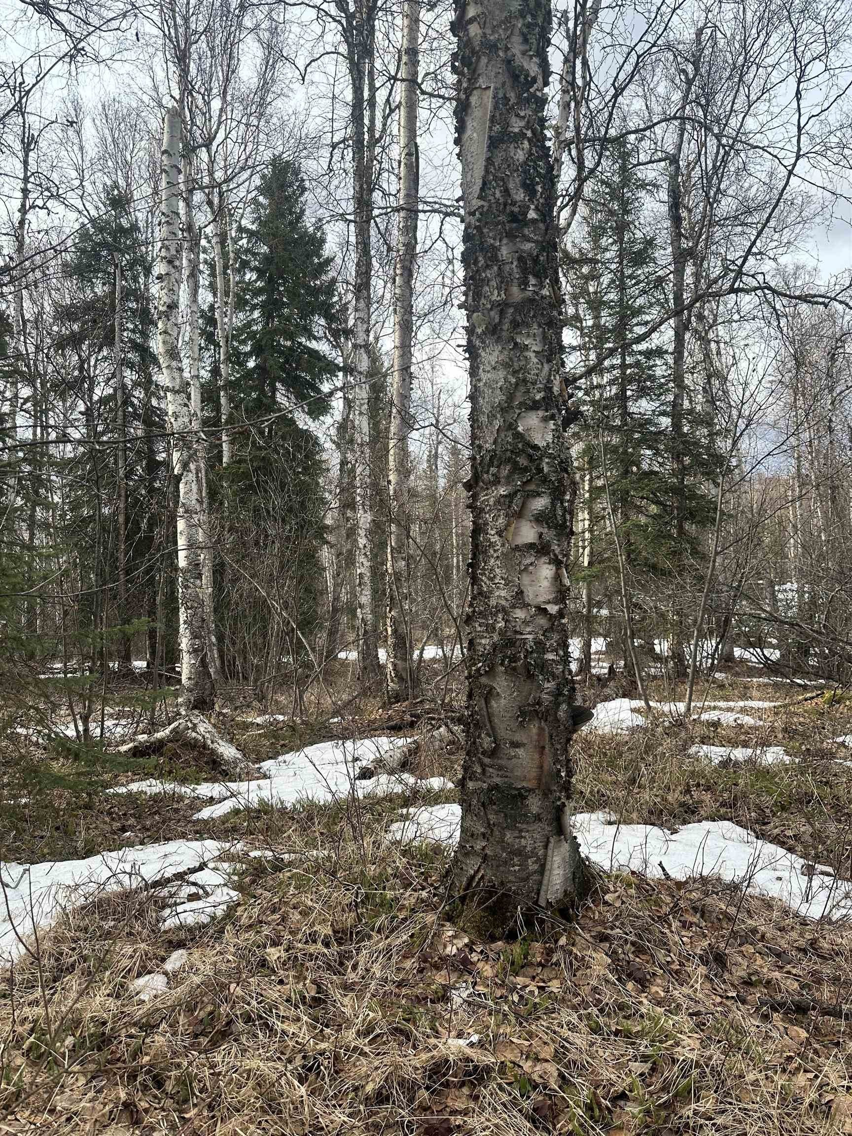 Land Near Harding Lake