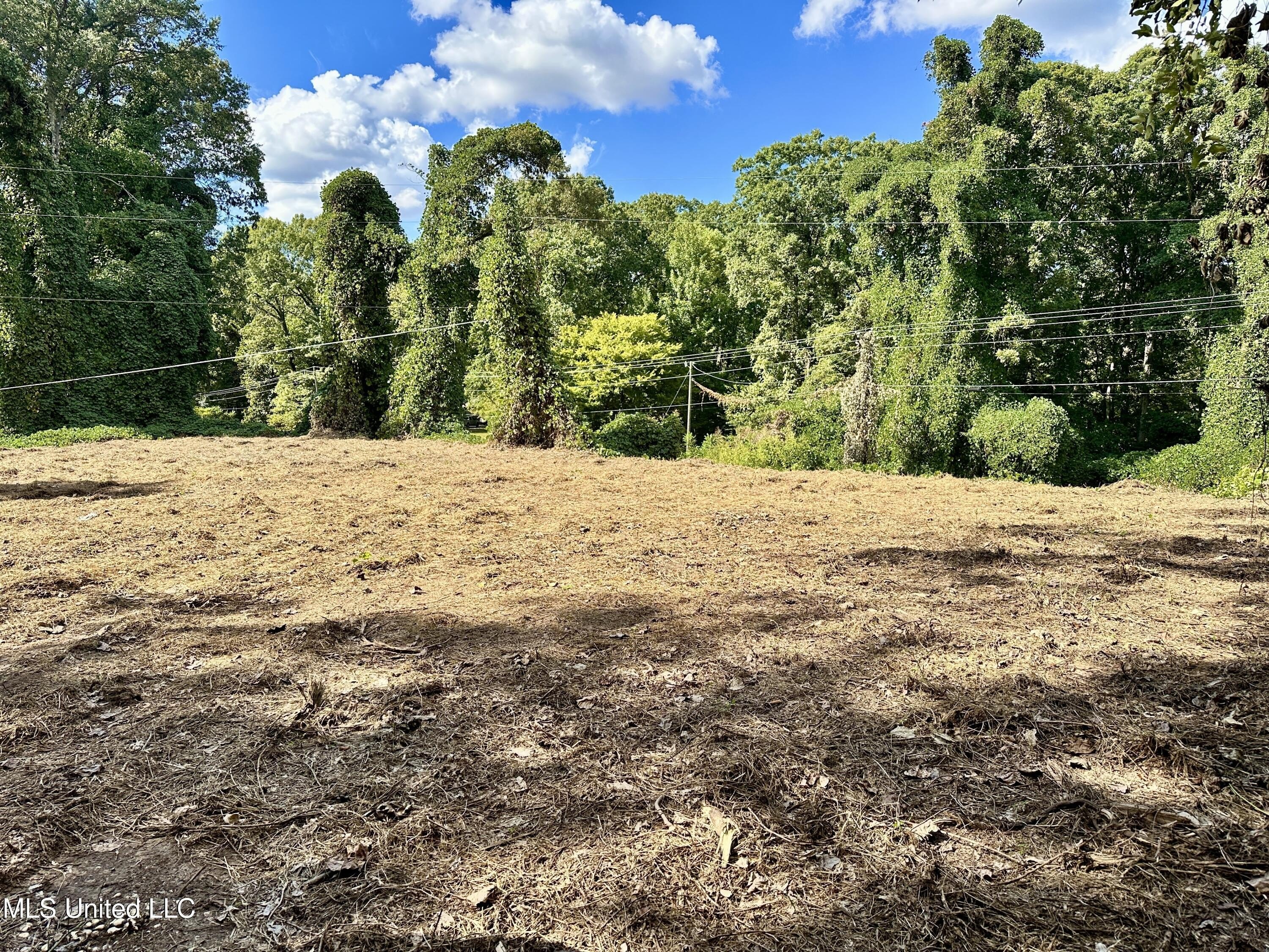 Residential Land in Hernando, MS
