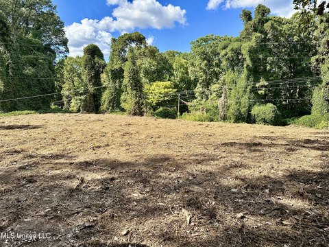 3 Acres Homesite in Hernando