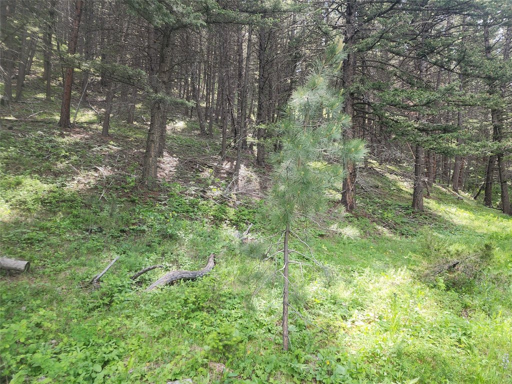 Picture 10