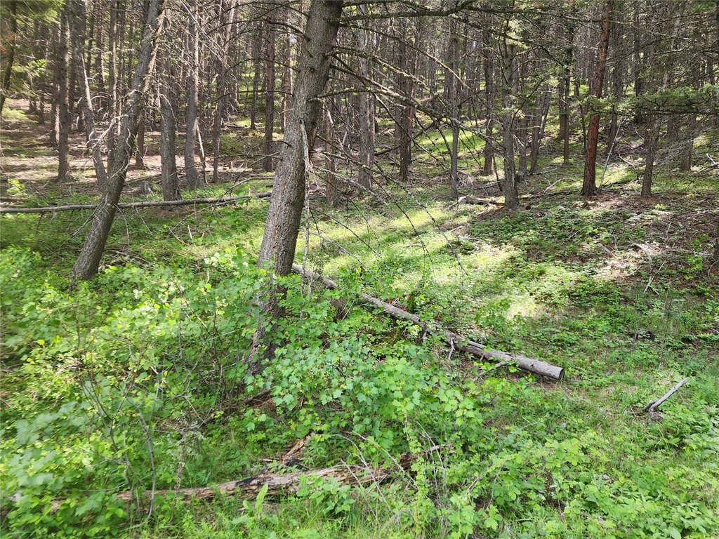 Picture 9