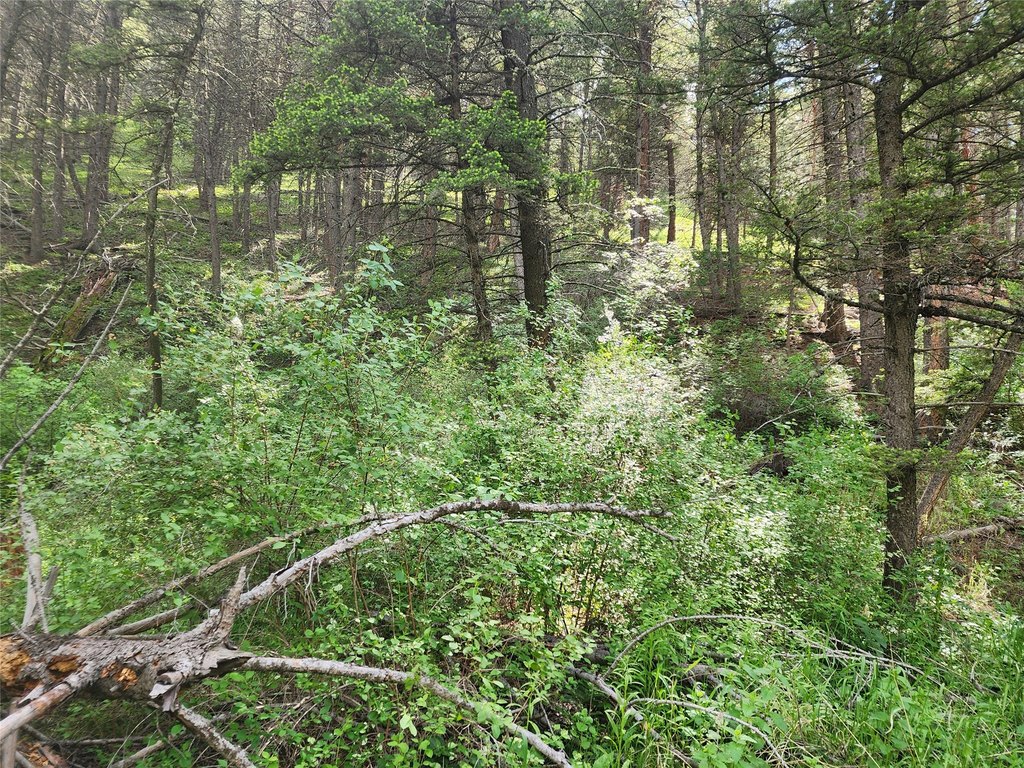 Picture 11
