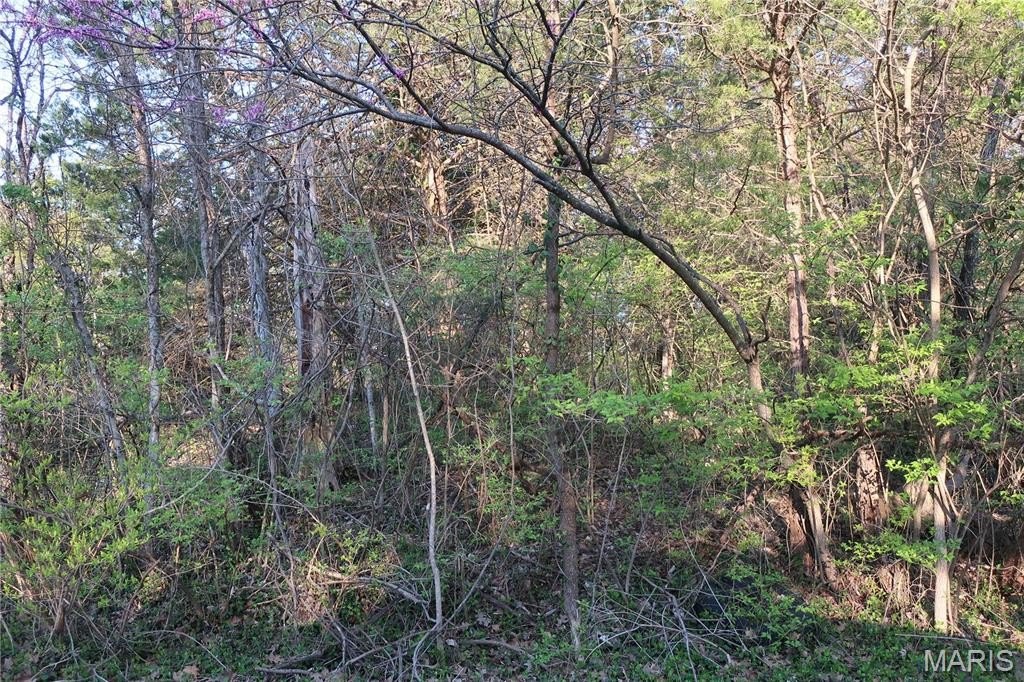 Picture 4