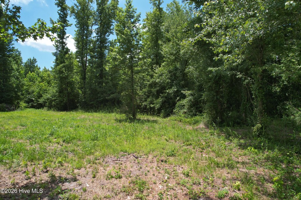 Picture 24