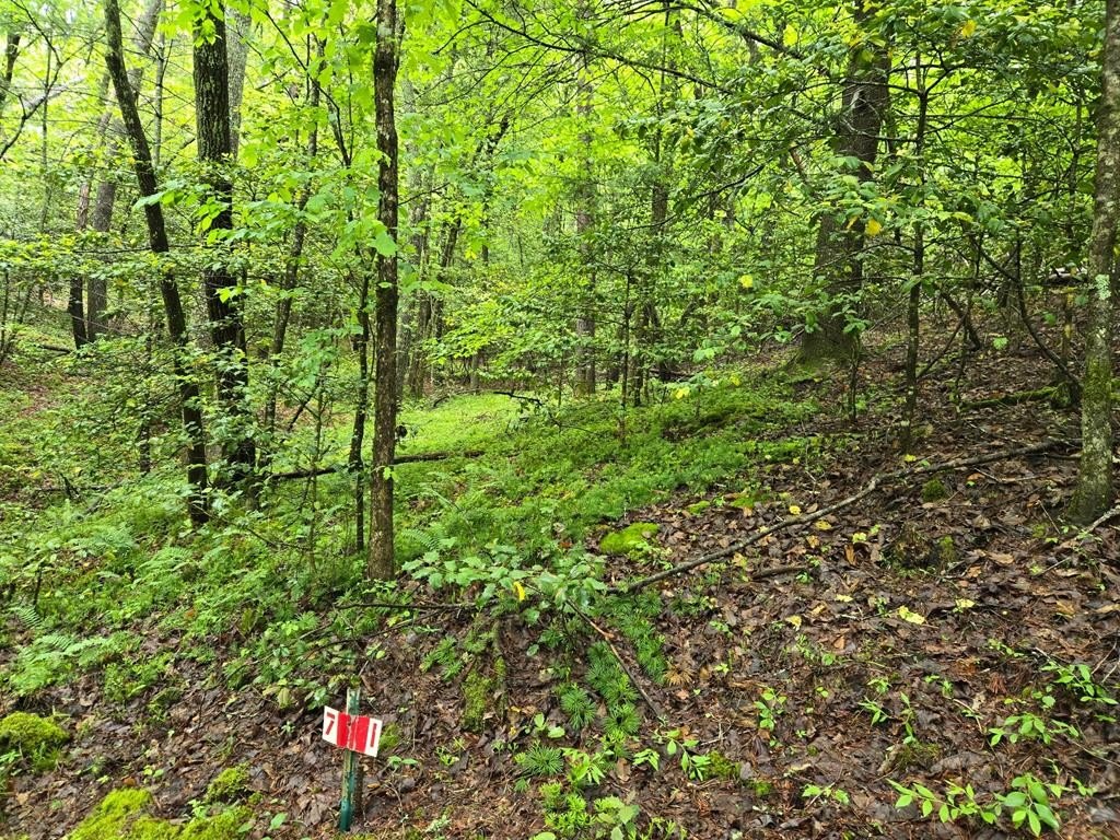 Hayesville, NC Vacant Lot