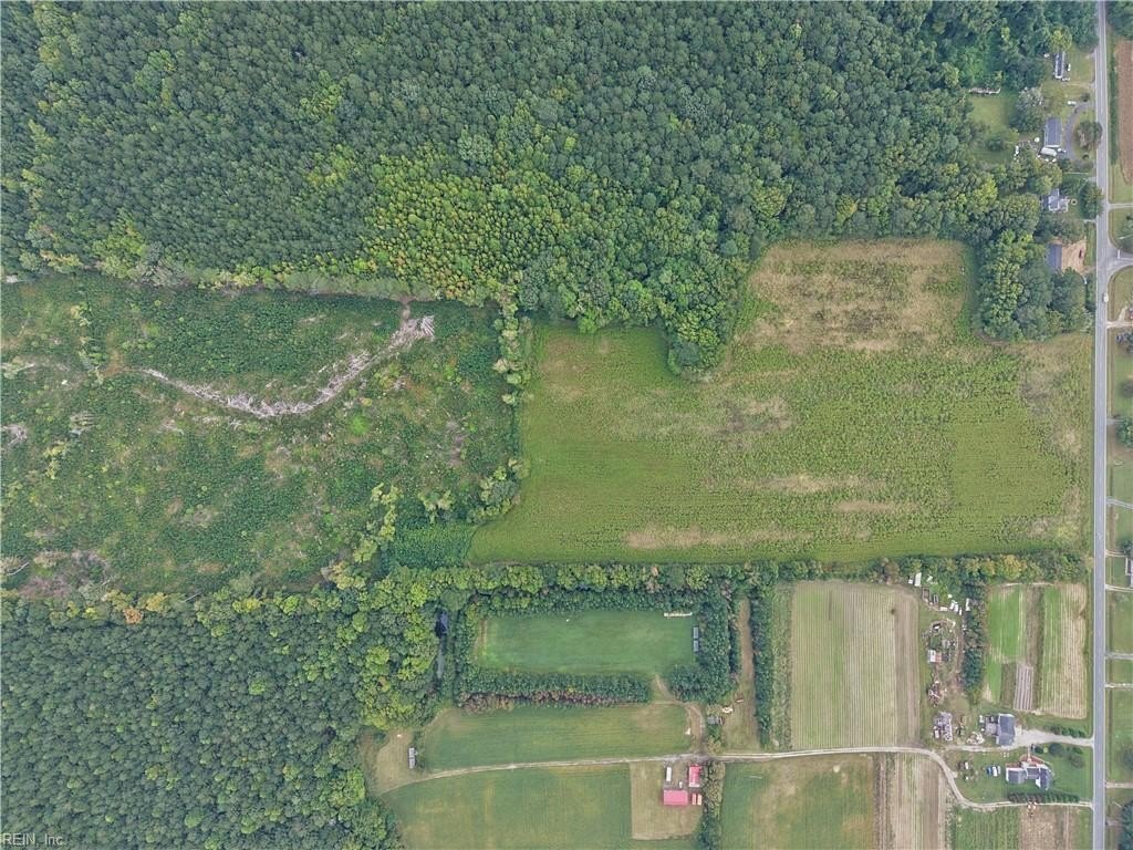 Picture 9
