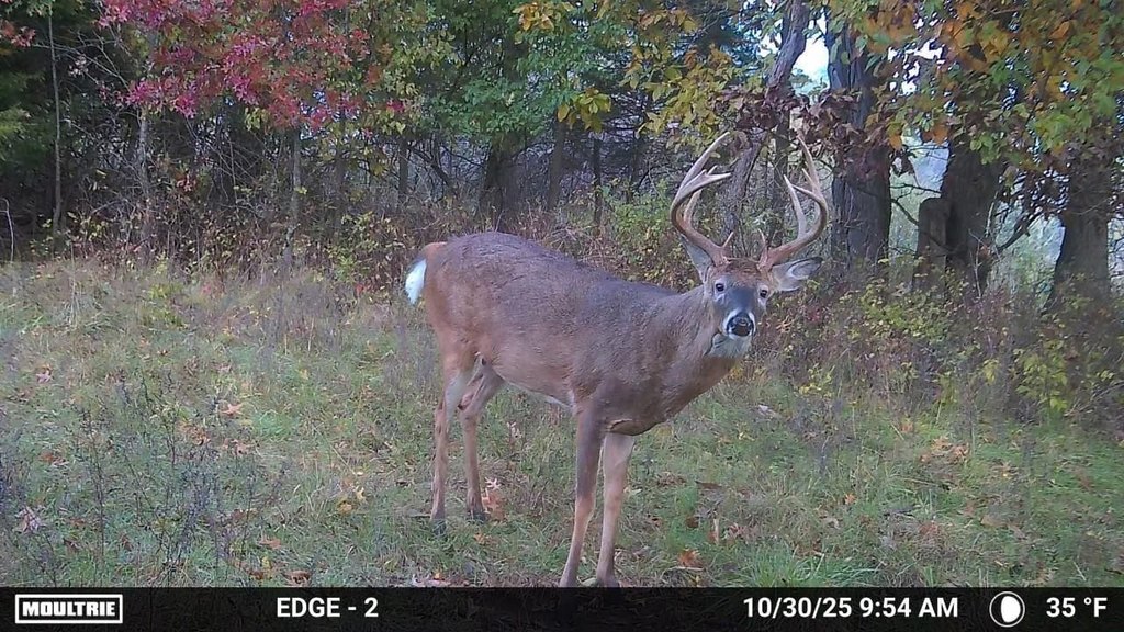 Picture 11