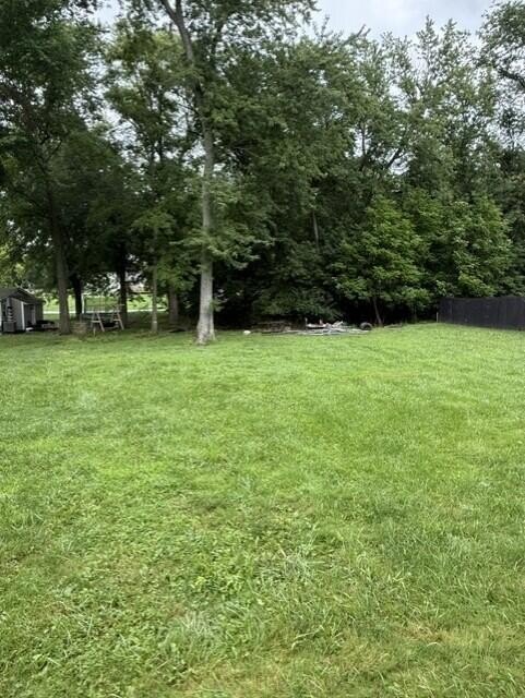 Picture 7