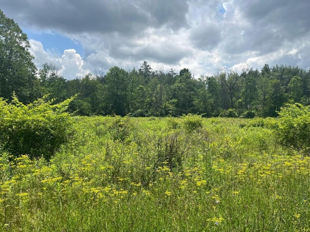 Ithaca Land Corner Lot
