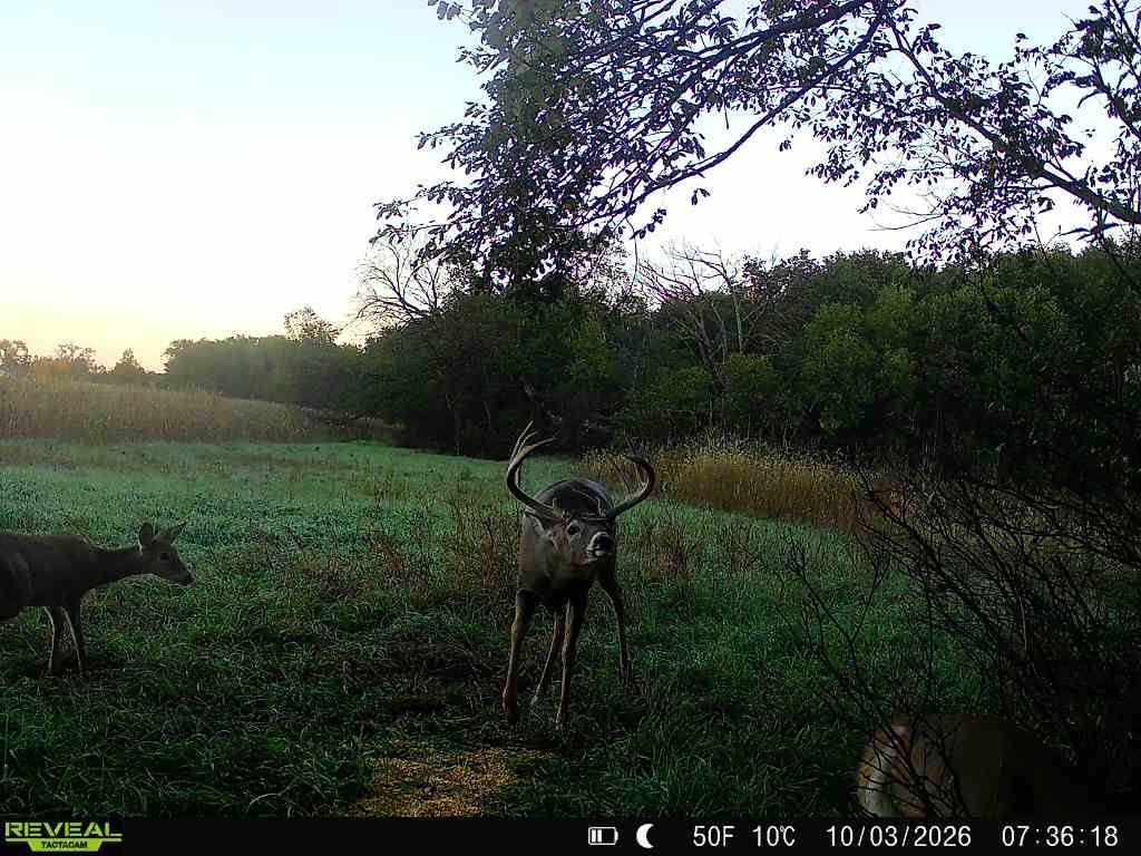 Picture 15