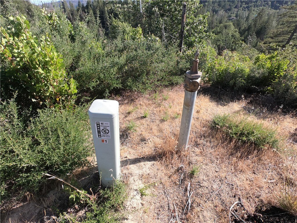 Picture 16