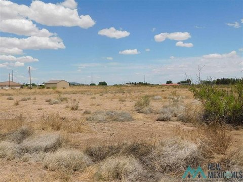 Land, Deming, NM