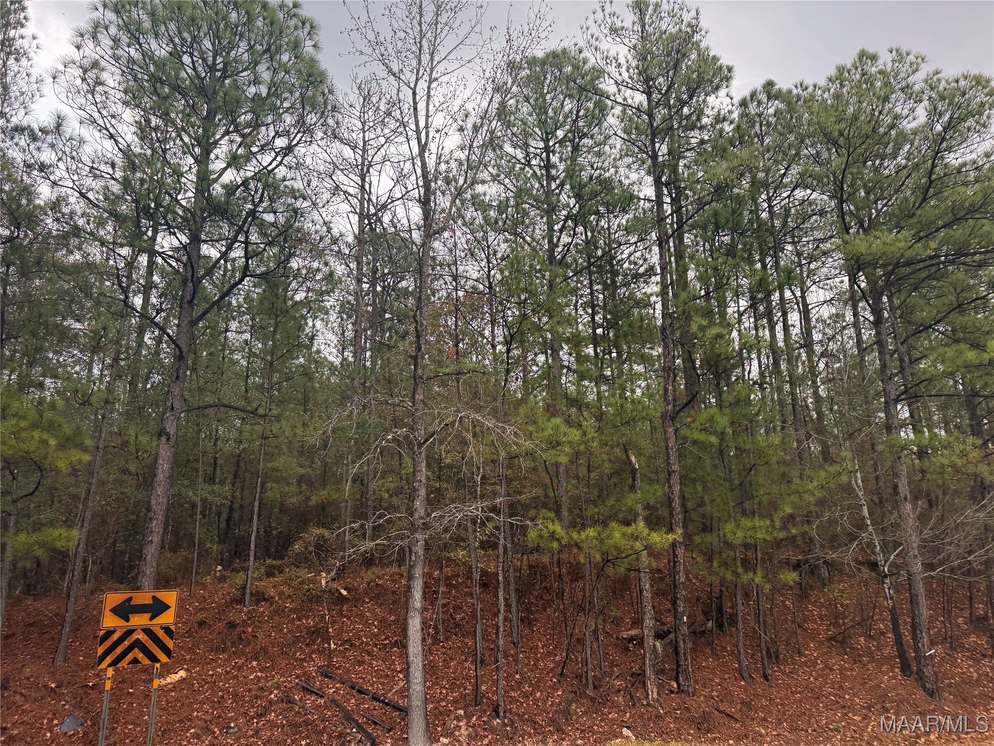 Unrestricted Land in Tallassee, Alabama