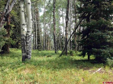 Wooded Residential Land Parcel