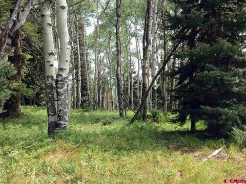 Cimarron, CO