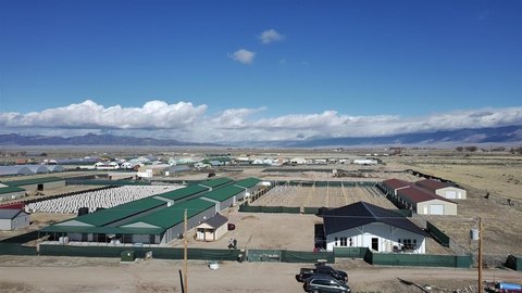 Moffat Commercial Property For Sale
