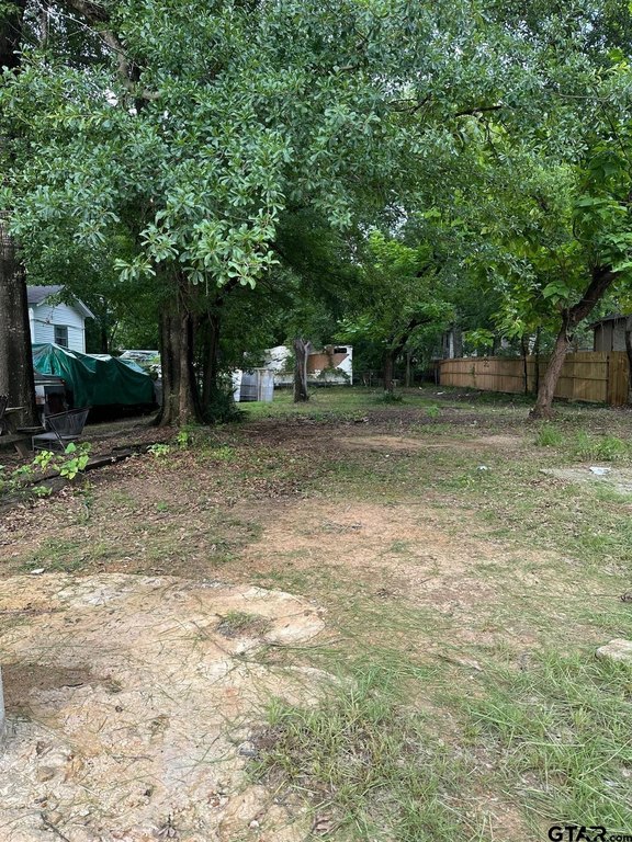 Picture 3