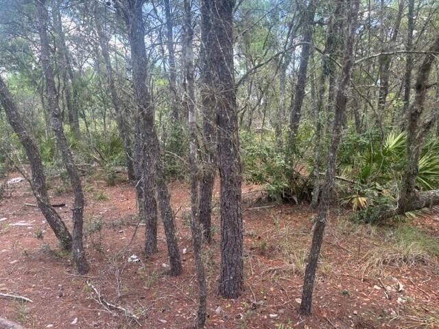 Picture 3