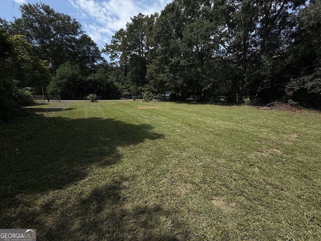 Picture 5