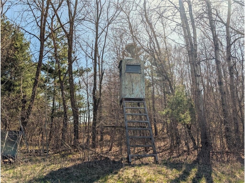 111+ Acres of Woods, Pasture