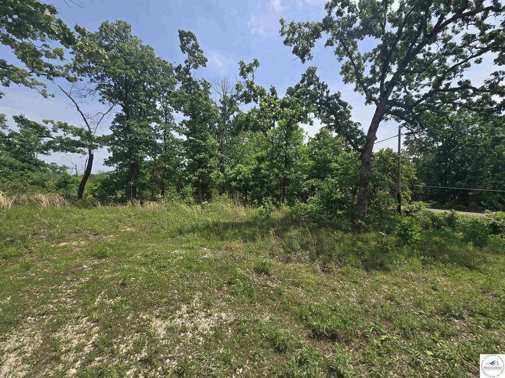 Picture 18