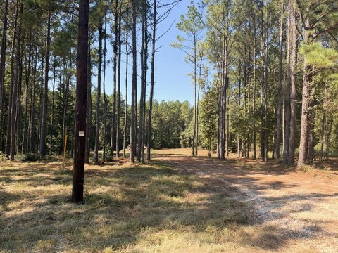 Land, Douglass, TX