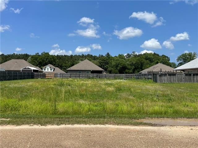 Vacant Lot in Ponchatoula