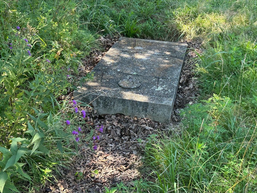 Picture 36