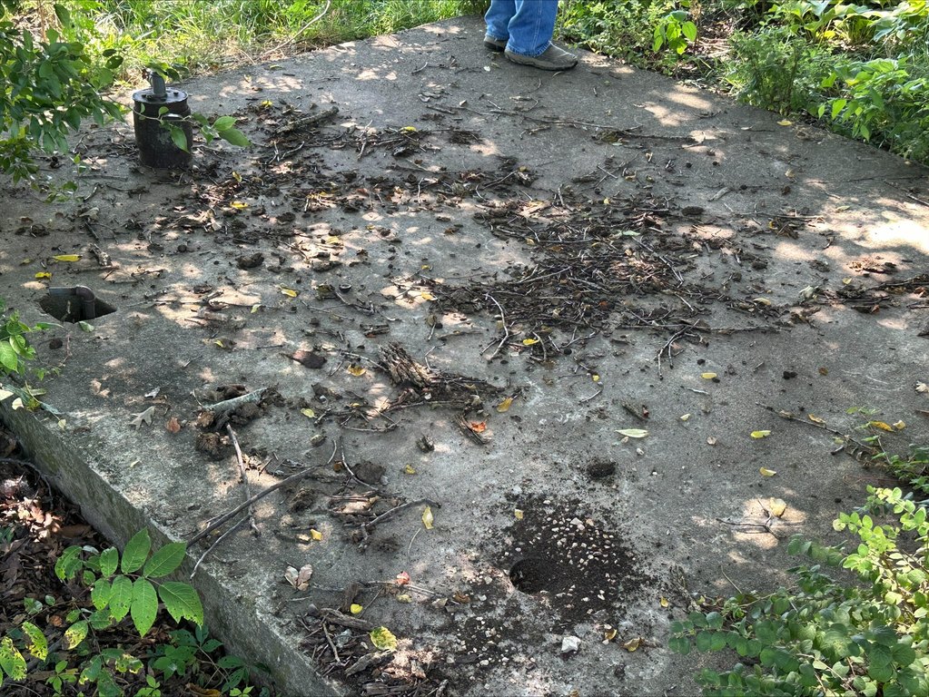 Picture 34
