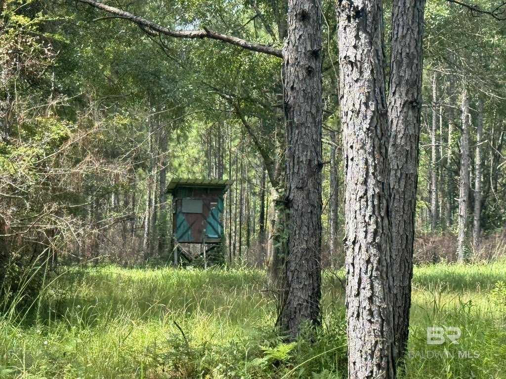 Picture 3
