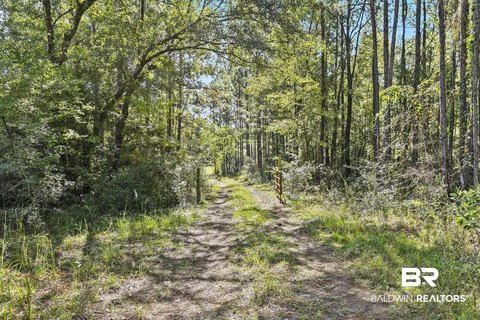 Hunting Land with Creek Access
