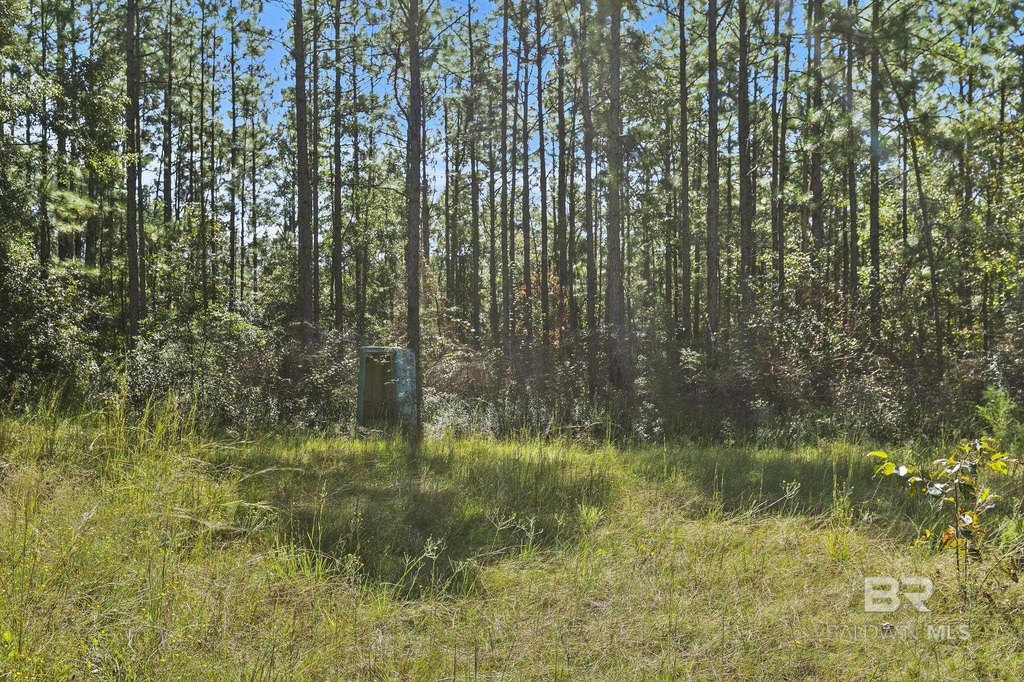 Picture 16