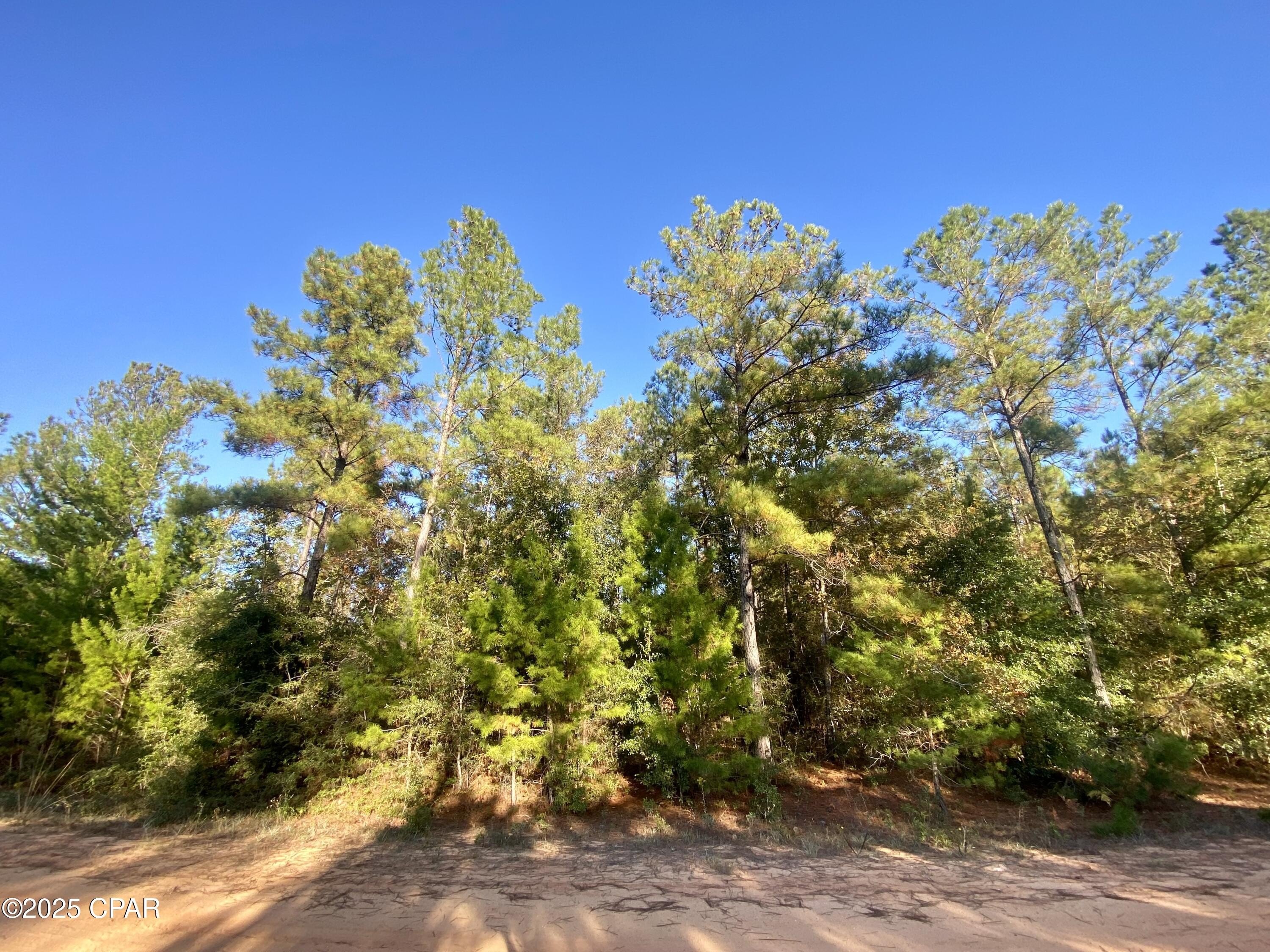 Land in Compass Lake Hills